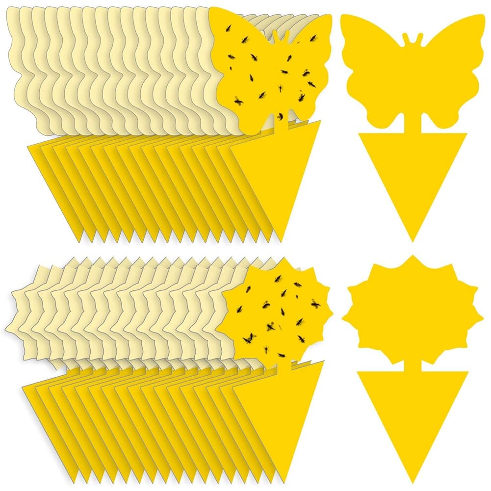 CTRLZS 36PCS Fruit Fly Sticky Traps Gnat Traps Insect Trap for Plants Kitchen Indoor Outdoor White Flies Mosquitos Easy Install Easy to Use