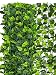 Produktbild ABC Home Garden Garten Sichtschutzhecke Efeu, Sichtschutz, Blickschutz, Windschutz