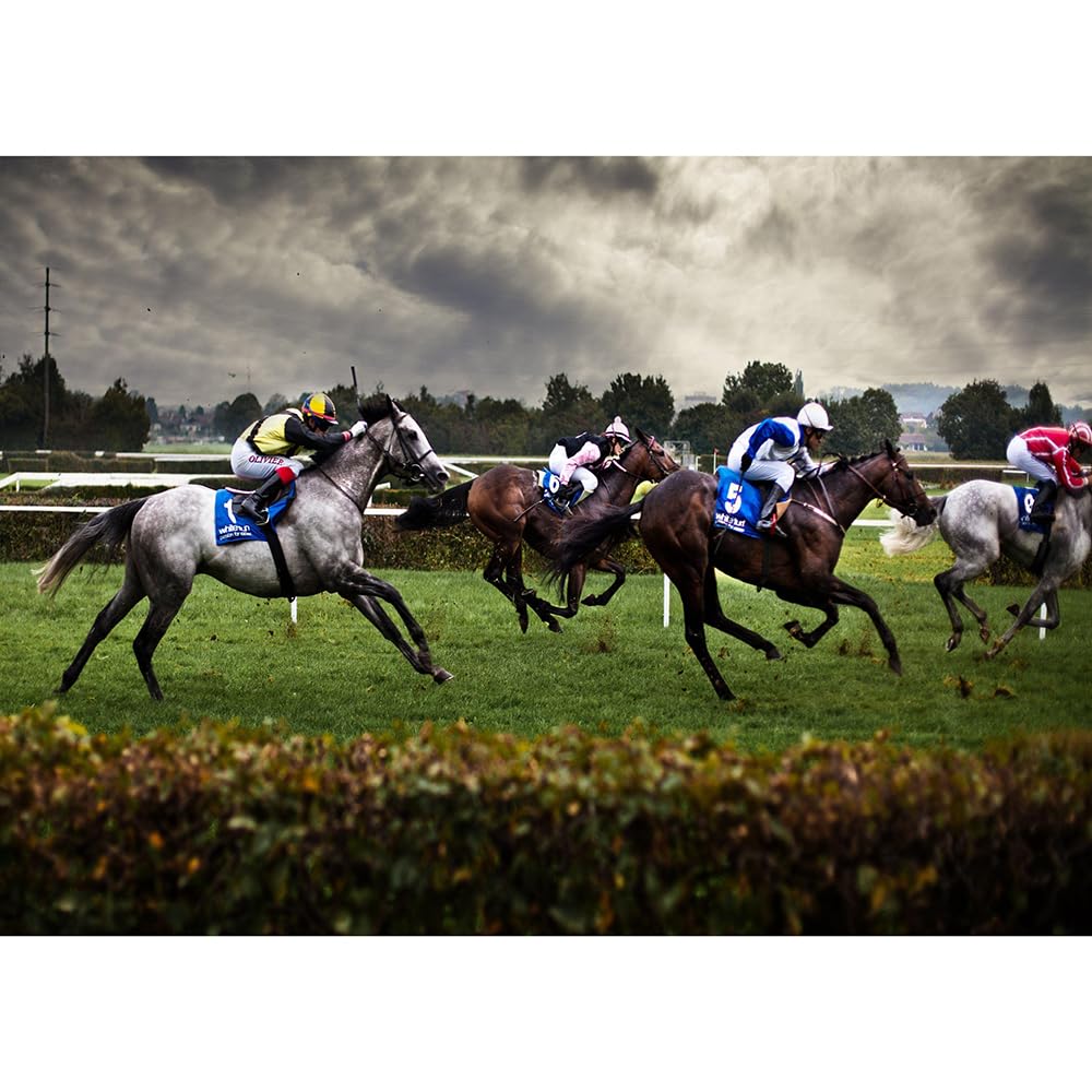 1000（52x38cm）‑Piece Adult Jigsaw Puzzle, Sports/Horse Racing Themed Puzzle, Suitable for Adult Stress Relief, Leisure Games and Home Wall Decoration