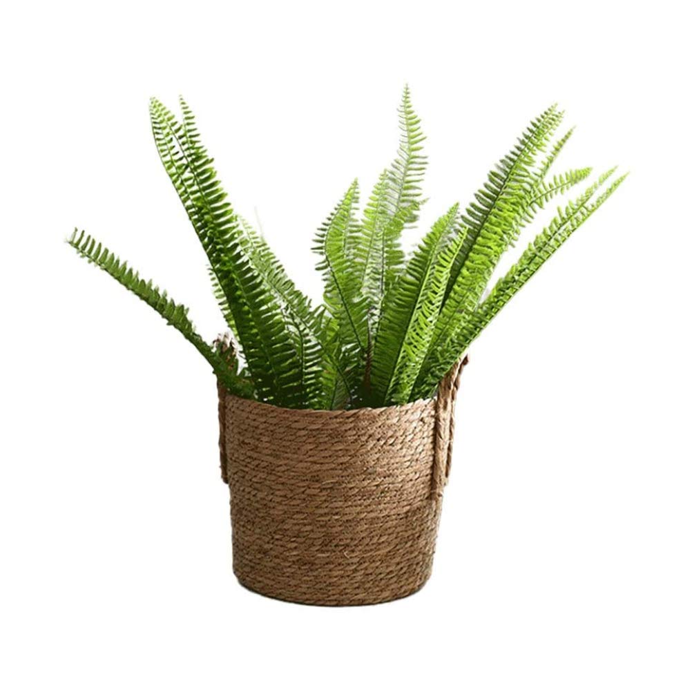 Maceteros Grandes Exterior Temesso Maceta De Madera, Medio Barril Macetero  Para Jardín, Media Barrica Decoración - Barril De Whisky (con Asas  Laterales + Ruedas Maceteros Exterior, image size:1002x1002