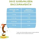 Ver la foto 7