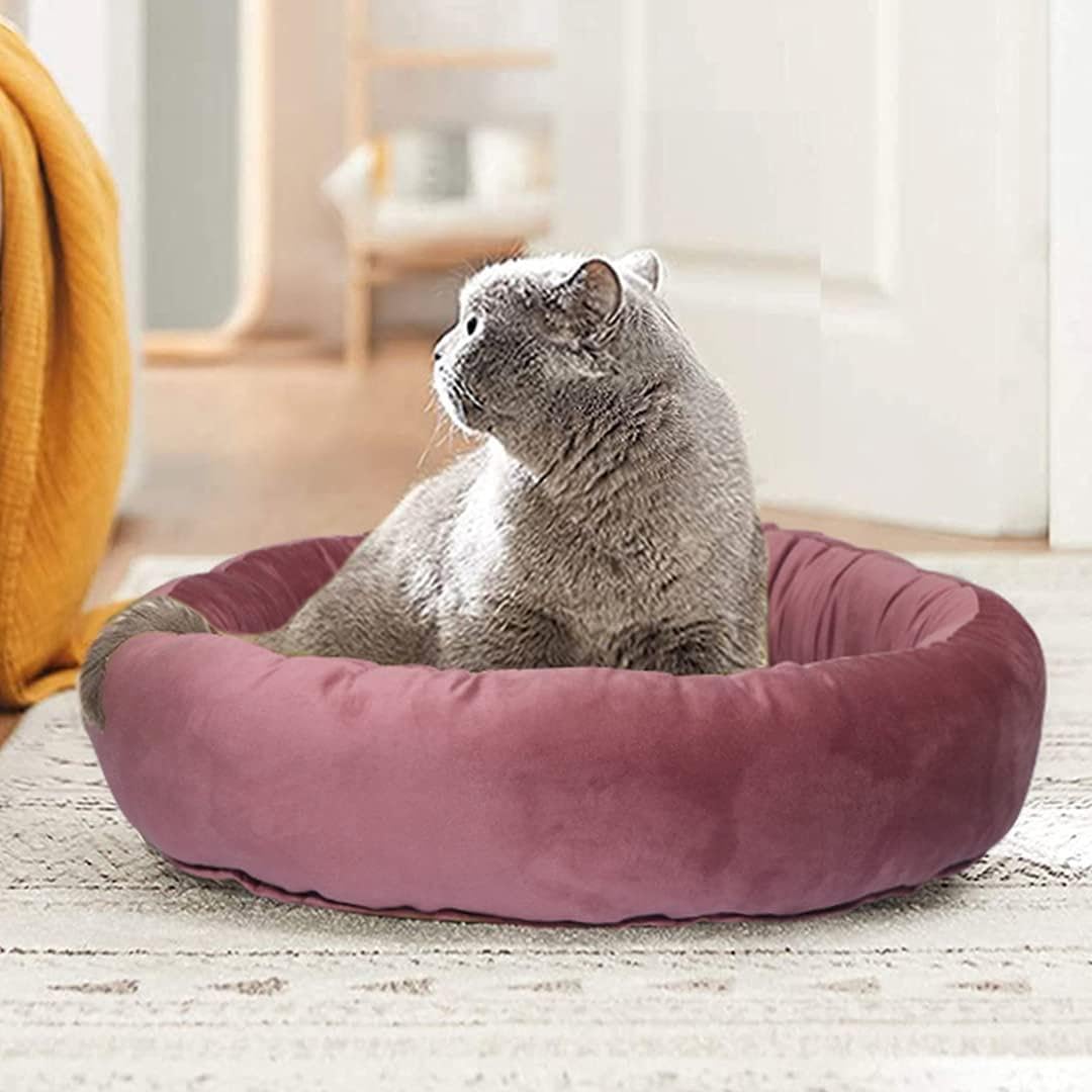 Cutepups (Large Size,Blush RED Color Round Shapes and Reversible Soft Velvet Dog Bed for Sleeping and Non-Slip Bottom Pet Bed for Dog (B0CWDNLNXX) Amazon Price History, Amazon Price Tracker