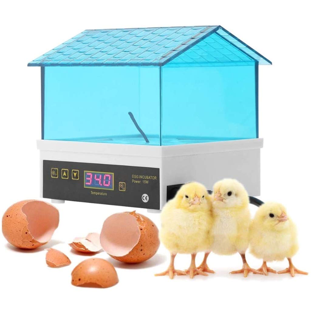 AMYAL Egg Incubator for Hatching Eggs Temperature Control Mini Poultry Hatcher Tool 4 Eggs Incubator