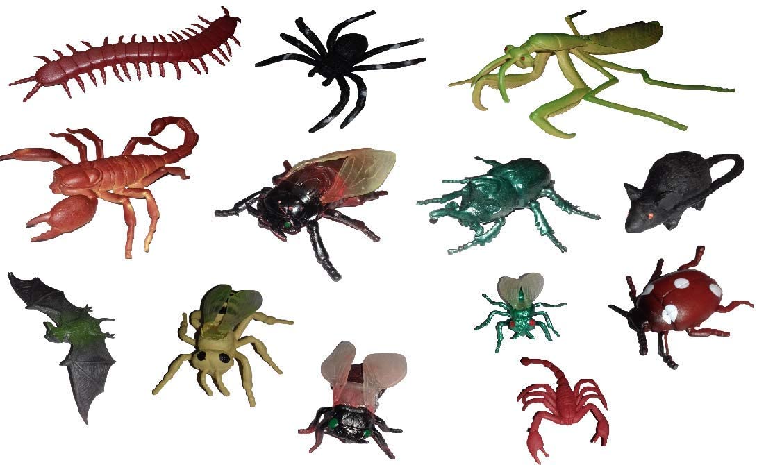 Sharva Enterprise Insect Garden Animal Set (B09PDY9LKN) Amazon Price History, Amazon Price Tracker