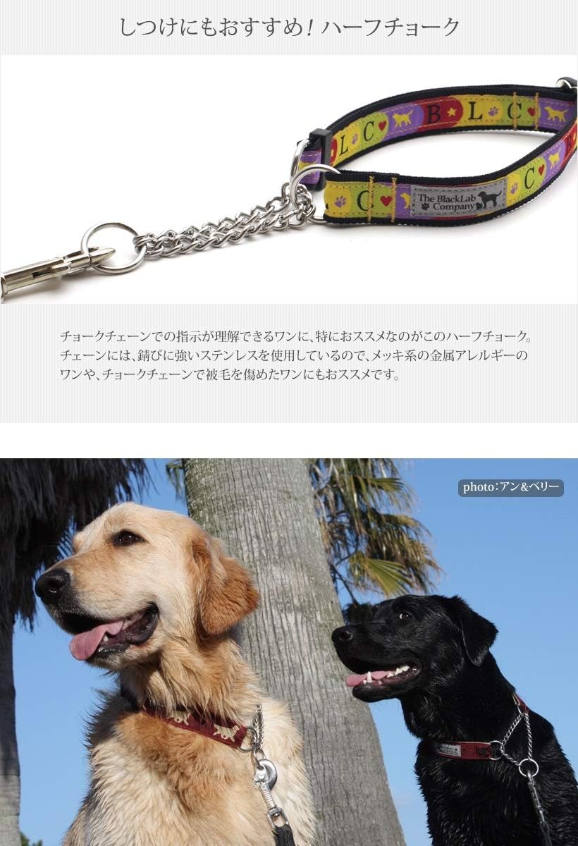 ハーフチョーク MLサイズ/BLCファン/ベージュ/中～大型犬用 しつけ用 首輪 犬グッズ専門店 【ペットカラードッグナイロンカラー】 オリジ