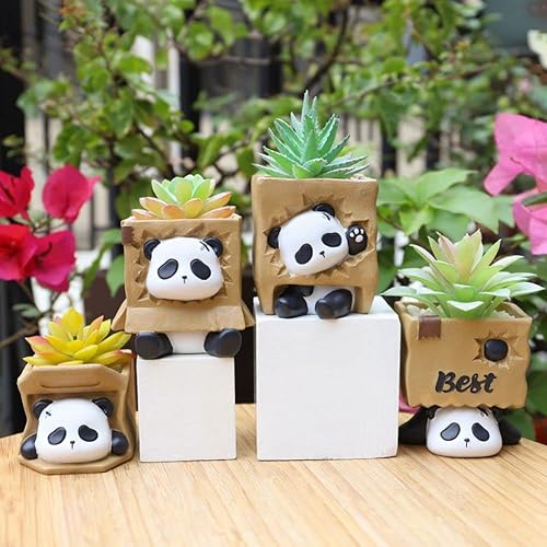 Miniatura 7 de Macetas de jardín para suculentas, maceta de panda, arreglo de balcón, contenedor de flores de cactus, macetas de bonsái de animales y soporte para