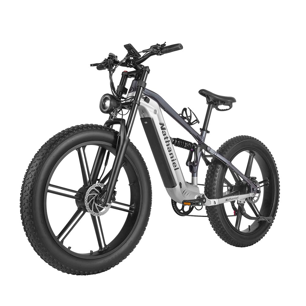 Nathaniel SYR09 Adult Electric Bike, Dual Motor,26 * 4.0Fat Tires,48V20Ah, All Terrain Off-Road E-Bike
