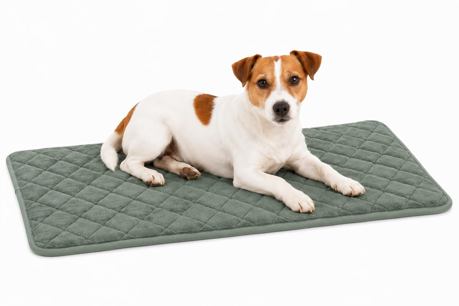 hundebett - katzenbett orthopädisch Weimar grün - orthopädisches Memory Foam Kissen - 70,5x41,5x2cm