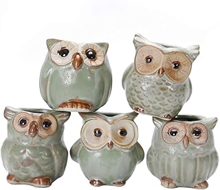 HEMOTON Vaso de Flores 5 peças de cerâmica pequena coruja pequena vaso de flores vaso de plantas vaso de cacto suculento decoração em miniatura