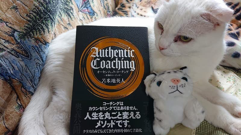 お客様イメージ