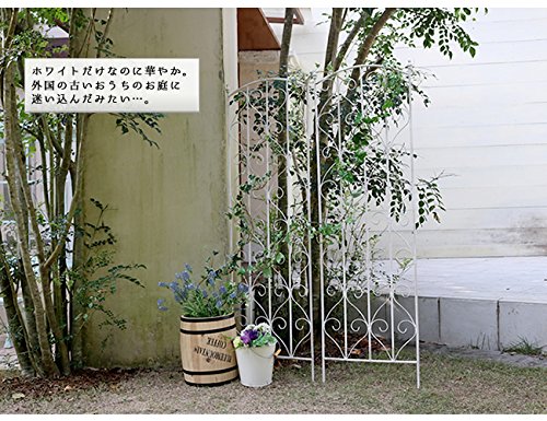 Amazon | 住まいスタイル ブランティーク アイアントレリスH147 2枚組