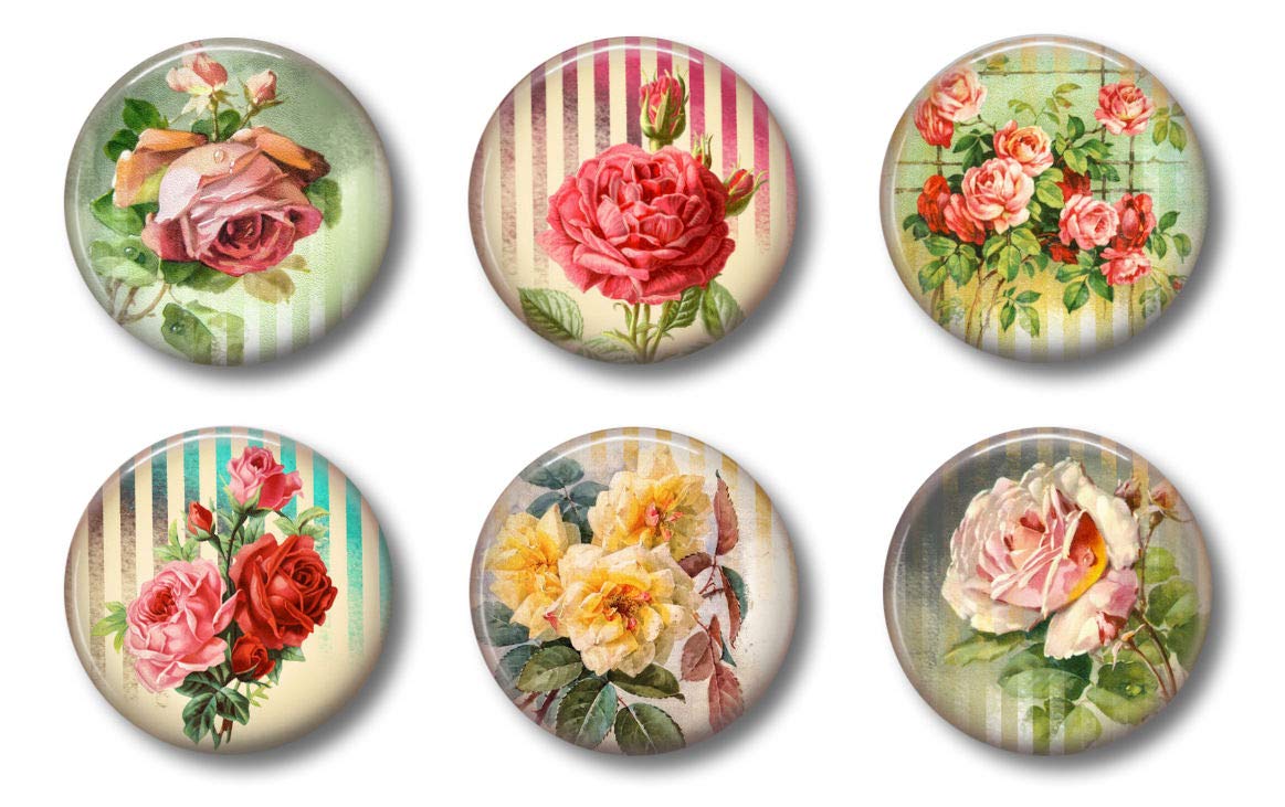 Shabby Chic Magnets Set Of 6 - Farmhouse Rose Decor For Fridge, Whiteboard, Locker | 1.75 Inch Round - View #4