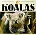 Koalas for Kids (Wildlife for Kids Series)
