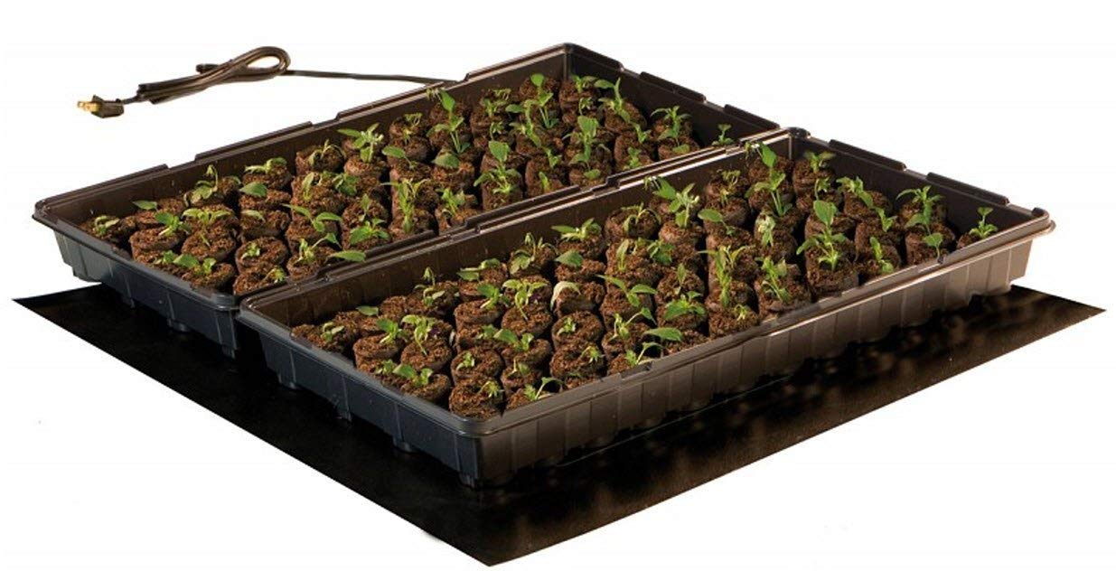 ROOT!T ROOTT Hobby - Tappetino Termico da 30 W, 600 mm x 400 mm, Nero, medio-30 W, Spina Britannica