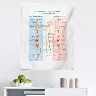 Ambesonne Anatomy Tapestry King Size, Parasympathetic and Sympathetic Nervous Systems Biology Comparison Chart, Wall Hanging Bedspread Bed Cover Wall Decor, 23" X 28", Pale Blue Blush