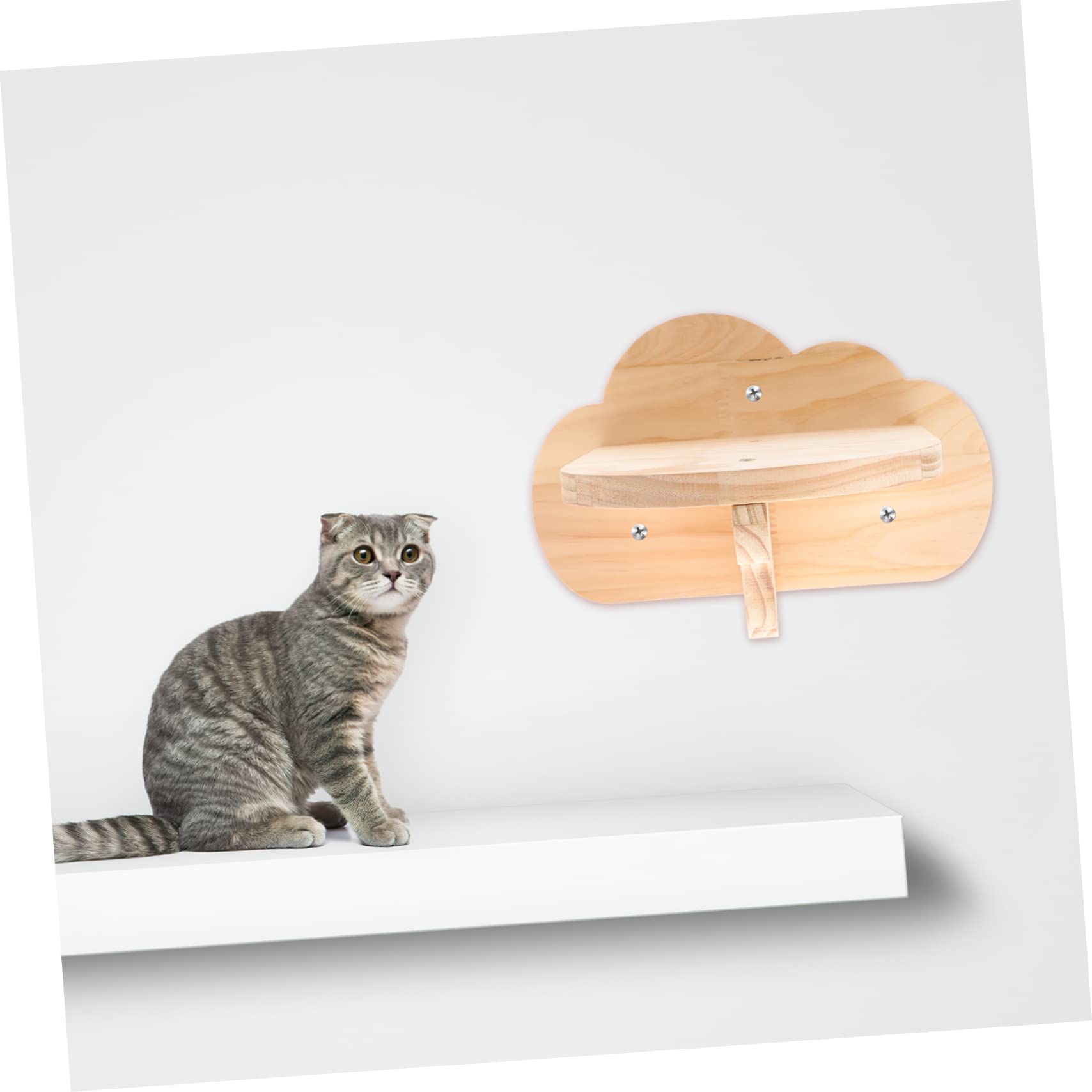 Scala per Gatti Arrampicata Multi-livello in Legno per Casa | Ripiano per Criceti, Uso Interno, Soluzione Salvaspazio e Multifunzione per Proprietari di Animali