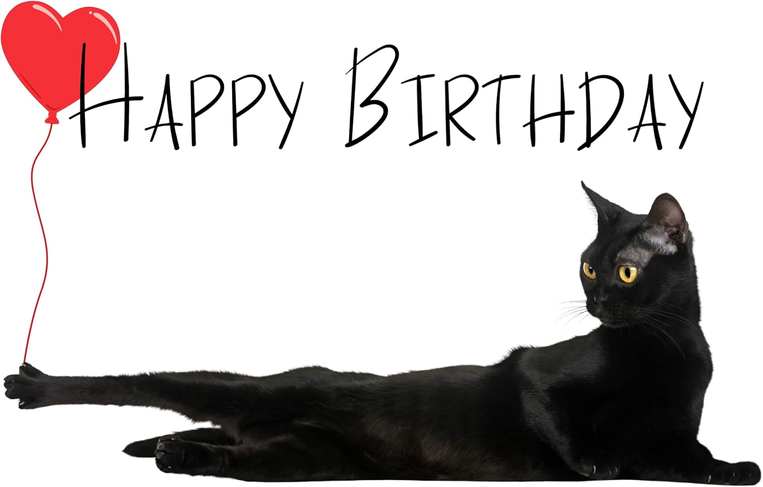 Happy Birthday Black Cat Images Amazon.com : Happy Birthday Card With Cats, Black Cat Birthday Card Baloon,  Greeting Card Cat : Office Products