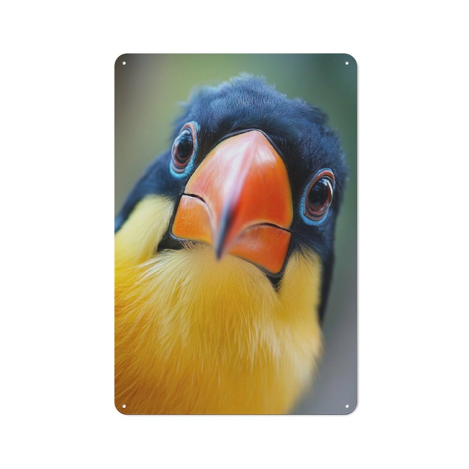 Junmoney Funny Toucan Bird Portrait Rustic Metal Sign 30X20cm For Garage Wall, For Everyday Room Decor With A Rustic Look