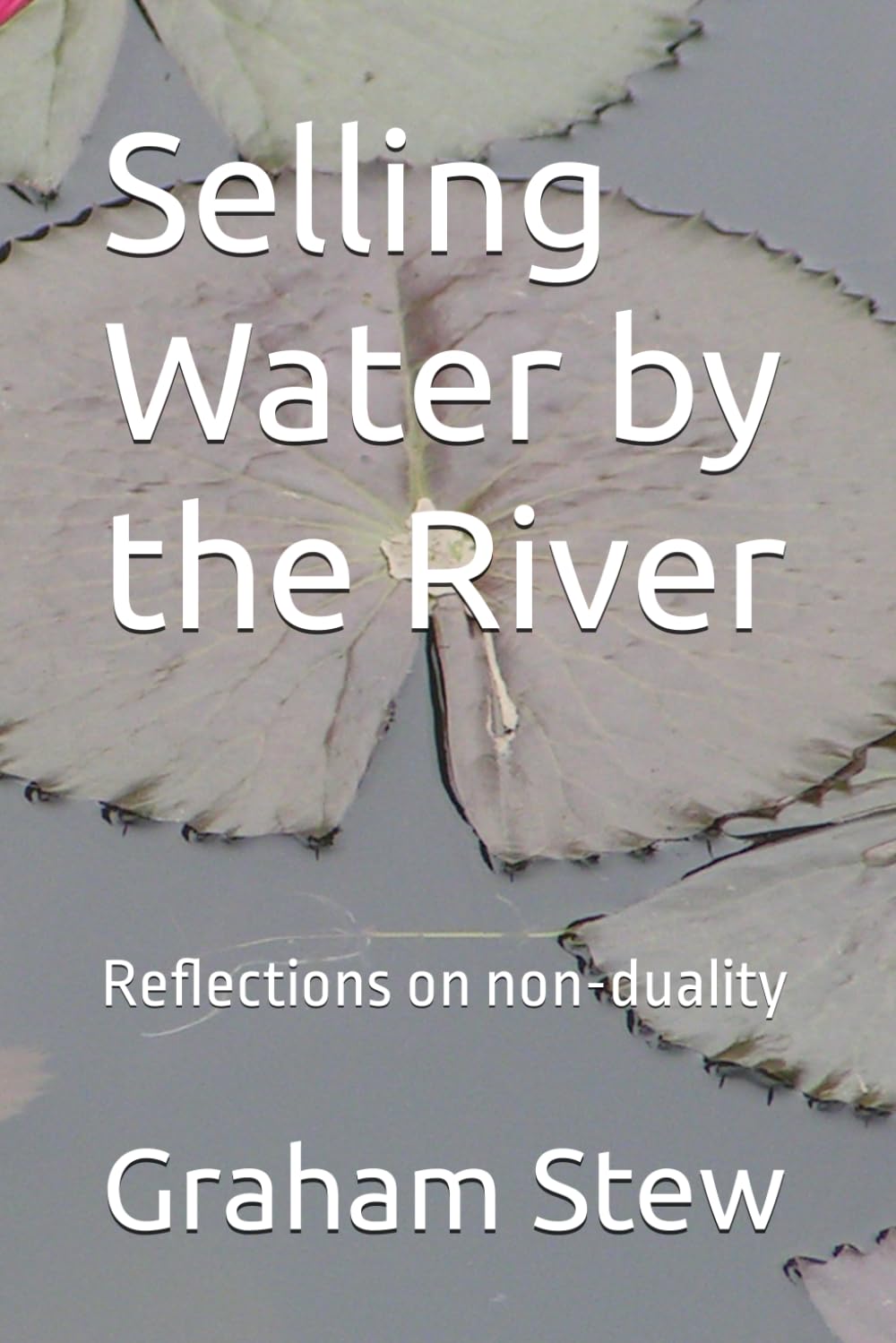 Selling Water by the River: Reflections on non-duality