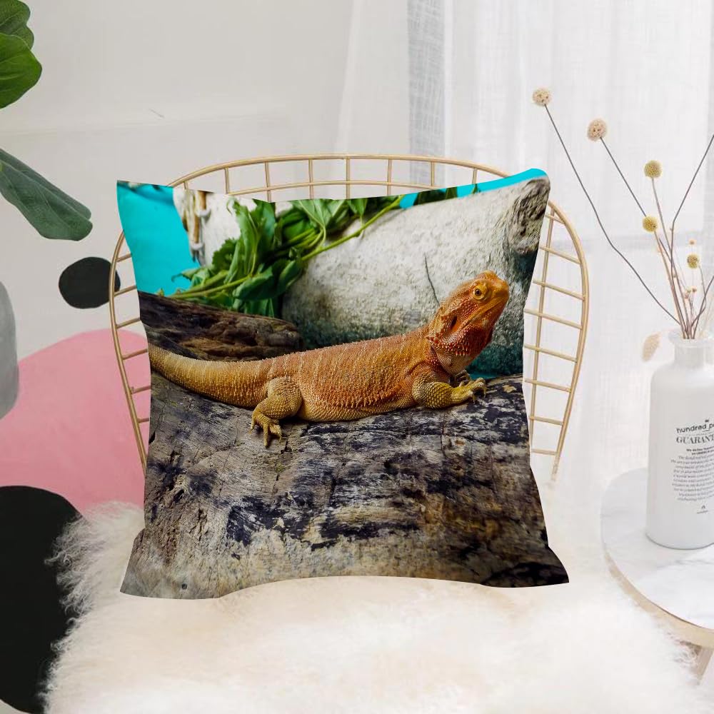 HYMSXW Cushion Cover,Throw Pillow Case Home Decorative for Living Room Bedroom Sofa Chair 20X20 Inch,Lizard, a pet reptile resting in a warm-toned environment at a moment's pause,Pillowcase 50X50cm