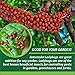 NaturesArt 1500 Live Ladybugs - Good Bugs for Garden - Ladybug Guaranteed Live Delivery* - Plastic Box, Container, Case.