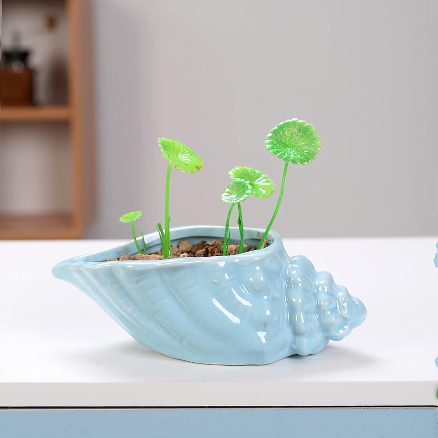 Foraineam Succulent Plant Pots, 5.5-6.5 Inch Ceramic Flower Planter Pots, Blue Conch Ocean Seashell Series, Set of 4 Succulent Cactus Plant Container with Drainage Hole (Pack of 2)