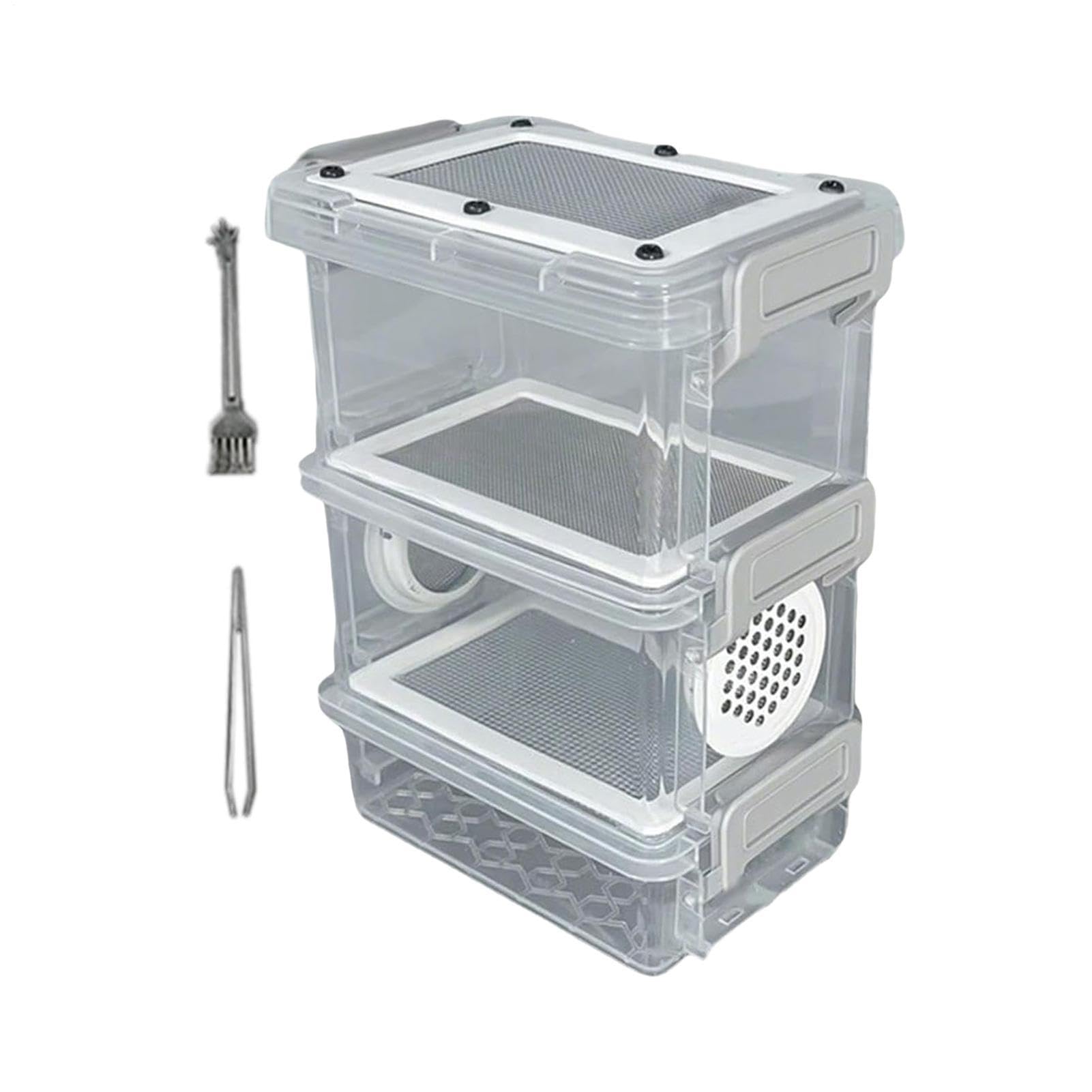 Kit per Allevamento di Camole,Set con Contenitore Stabile e Pinzette | Scatola per la Crescita dei Bachi da Seta,Progetti Scolastici Backyard Scienza Campeggio