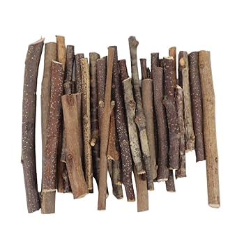 B 空洞美型 流木 枯木 古木 収集品 高さ84.5cm B 空洞美型 流木 枯木 古木 収集品 高さ84.5cm