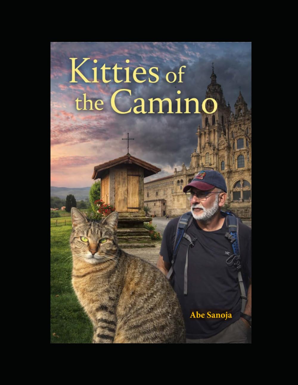 Photo 1 of Kitties of the Camino