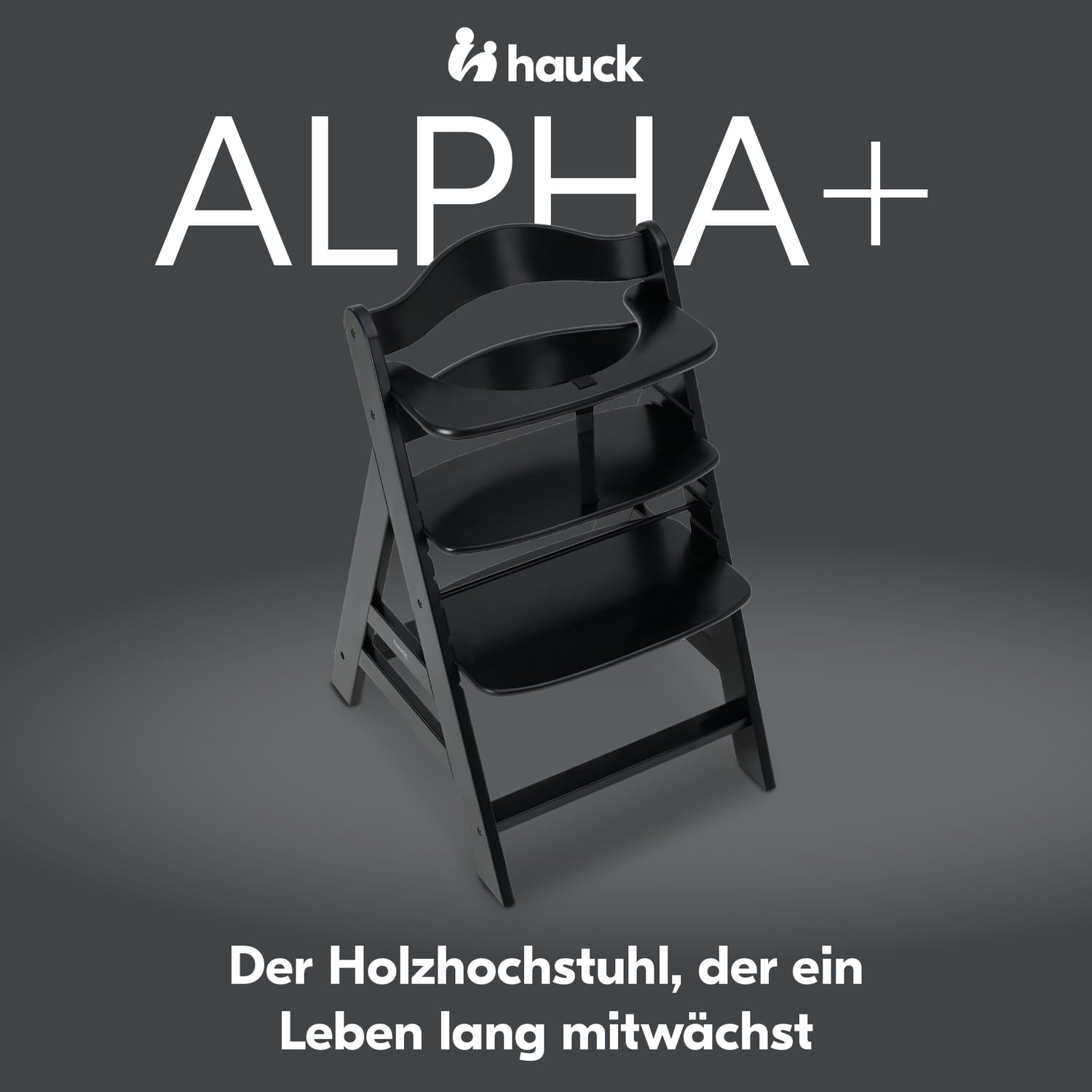 Hauck Wysokie ewolucyjne krzesło dla niemowląt Alpha Plus z drewna bukowego, certyfikat FSC, od 6 miesięcy, regulacja, 5-punktowe szelki, drążek bezpieczeństwa, wytrzymałość do 90 kg, kolor czarny