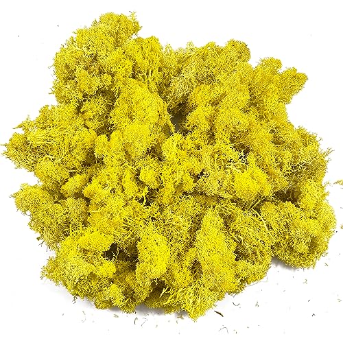 Moss Preserved Moss for Potted Plants Natural Fresh Green Reindeer Moss for Craft Arts Floral Wall Decor Decor Wedding Centerpieces Garden Artificial Terrariums Decoration for Christmas(Yellow) 3.52OZ