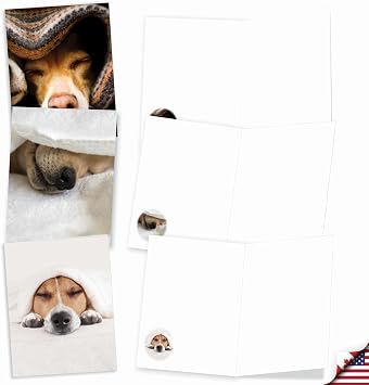 Best Card Co 20 Bulk Dog Note Cards Blank (4 x 5.12 Inch) Pups in a Blanket Adorable Puppy Notecards for Animal Lovers AM9265OCB-B2x10-NB