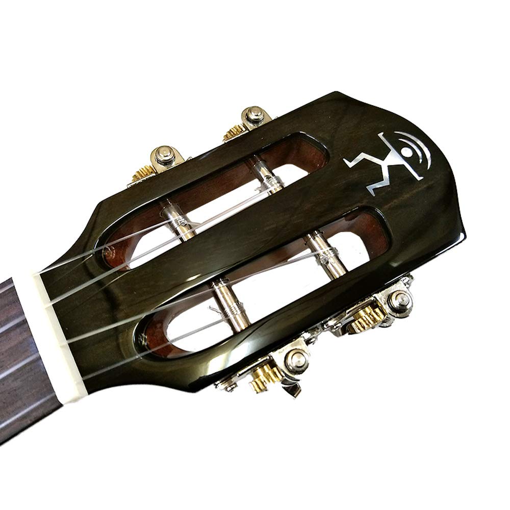 Amazon.co.jp: aNueNue aNN-AMM2 アフリカンマホガニー コンサート