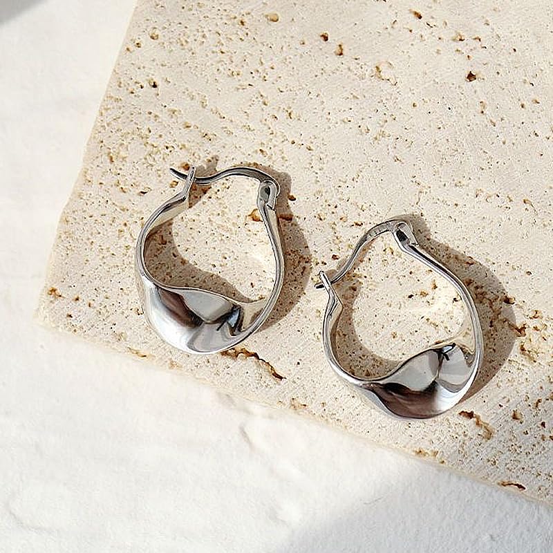 Women'S Sterling Silver Hoop Earrings, 14k White Gold Earrings Hypoallergenic Thick Silver Hoop Small Fashion Delicate Earrings3
