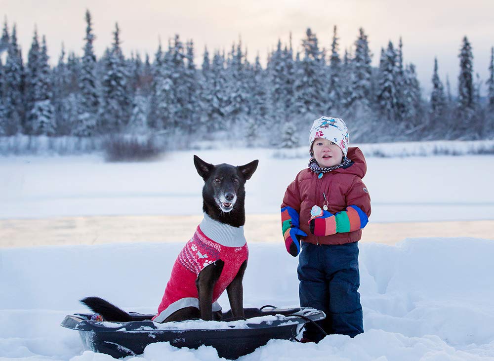 RC Pet Products 66806308 Highland Dog Sweater, Pawesome, X-Large