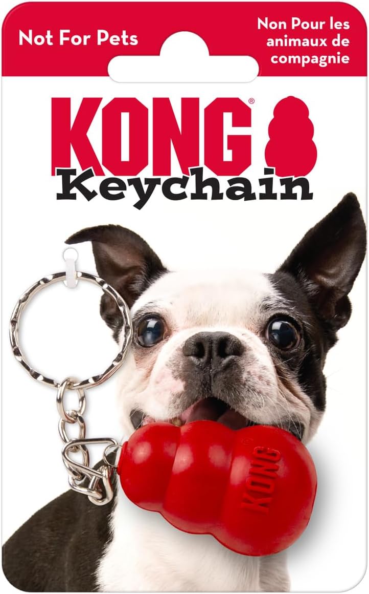 KONG Fun Pack – Fall Dog Toy Gift Set with FetchStix, Sport Balls, Scrunch Knots Fox, Tug & Fetch Toys, Bonus Keychain – Safe Fetch, Tug, and Light Chew for Dogs