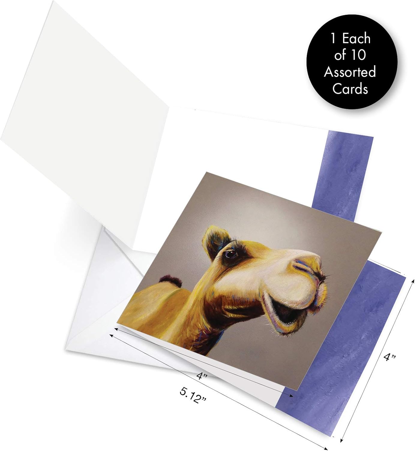 The Best Card Company - 10 Adorable Note Cards Blank (4 x 5.12 Inch) - Wildlife and Animal, Assorted Boxed Set - Animal Magnetism AMQ6218OCB-B1x10 - Image 7