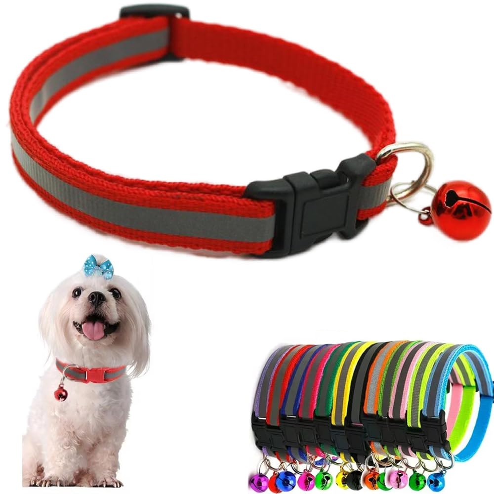 Collier pour chiot XXS XS réglable avec clochette petit animal de compagnie