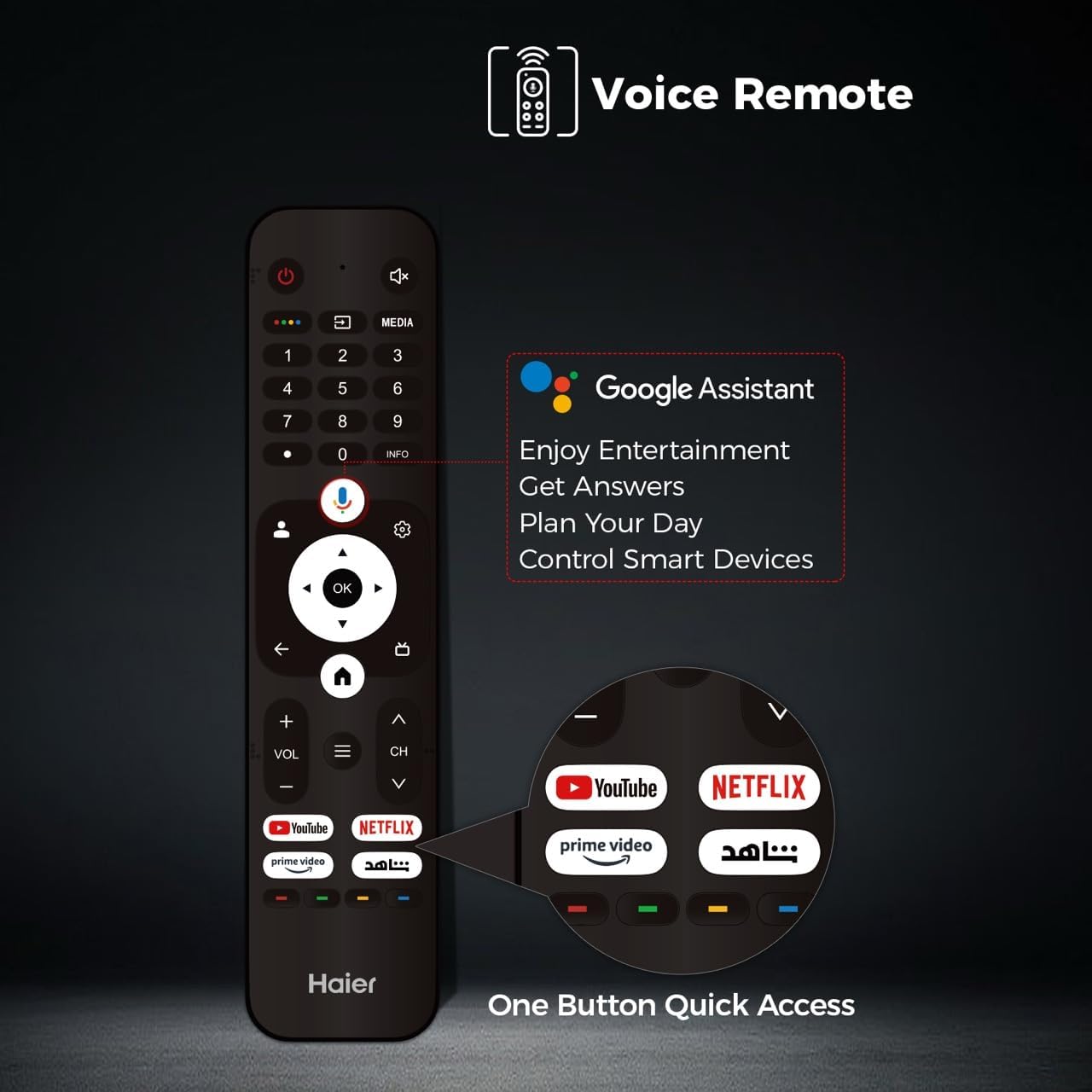 Rear view of Haier 55-inch QLED Google TV showing VESA mounting points and ports