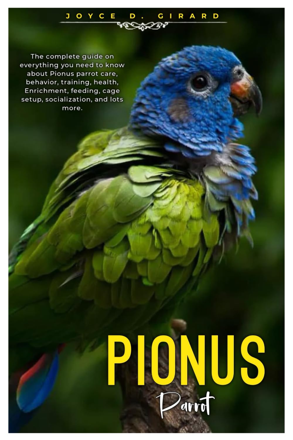 PIONUS PARROT: The complete Guide on everything you need to know about Pionus Parrot care, behavior, training, health, enrichment, feeding, cage setup, socialization, and lots more.