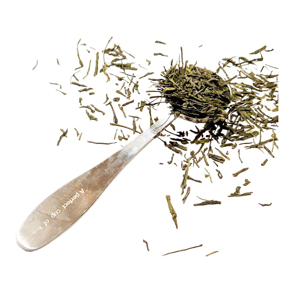 Buy Smitex Stainless Steel Ice Cream Scoop, Best Good Grip Ice Cream Spoon For Cupcake Muffin Batter Dispenser,Ice Cream Scoop For Scooping Cookie And