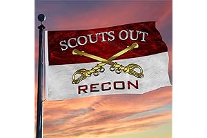 Official Scout Regiment Flag: Unwavering Loyalty and Vigilance