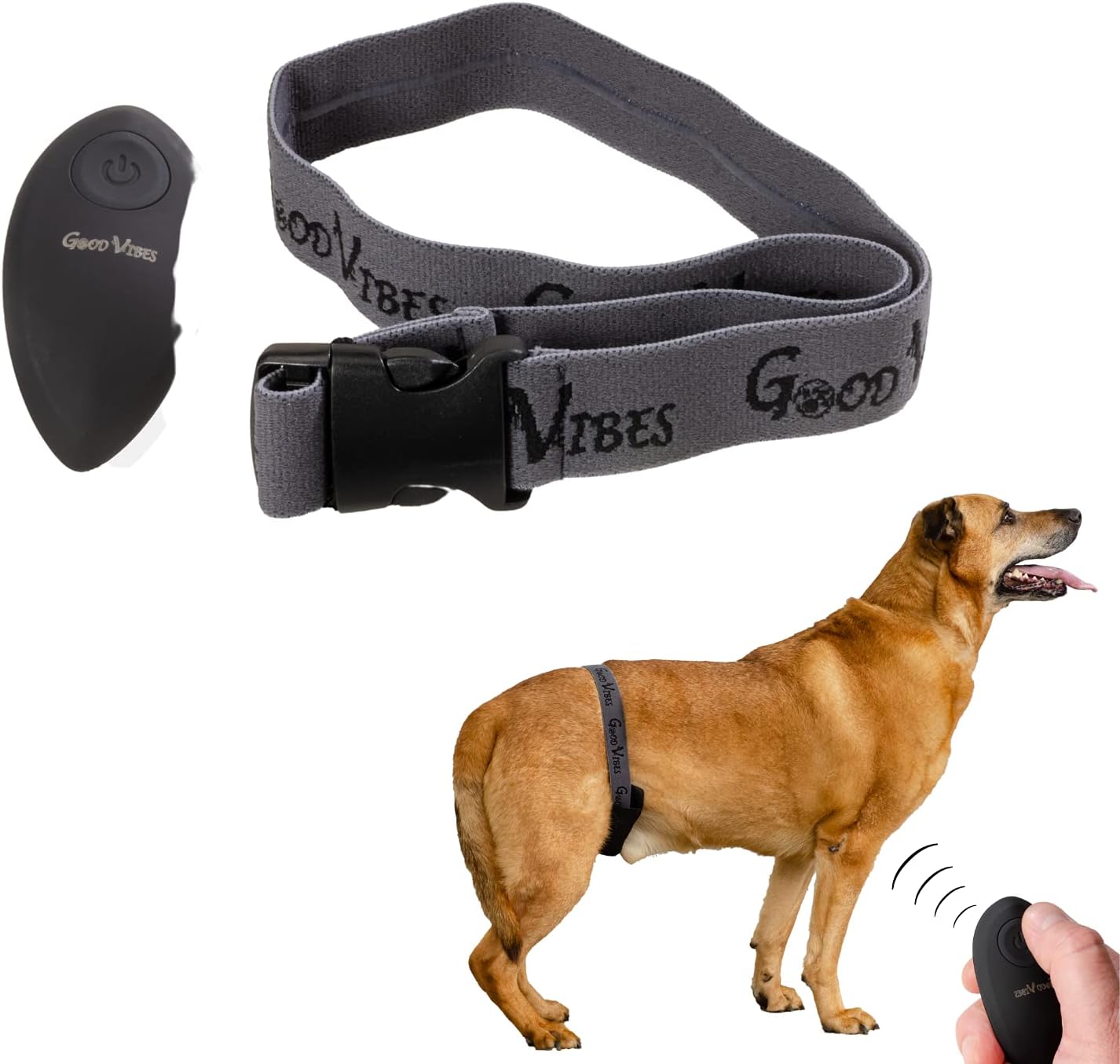 do shock collars work for biting