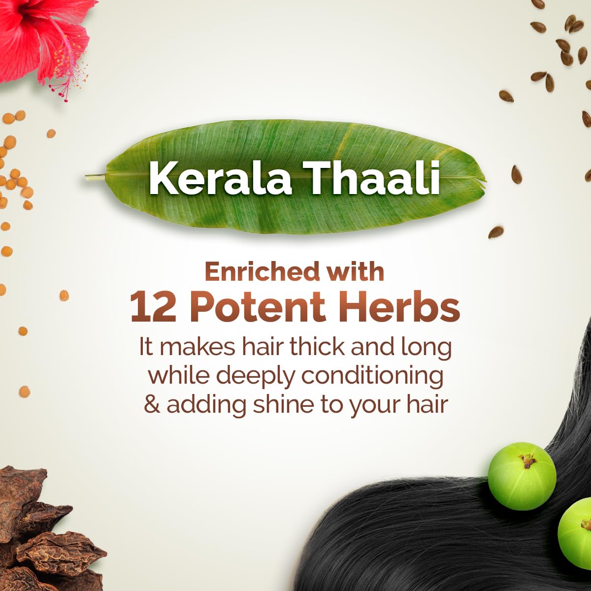 Mamaearth Kerala Thaali Cleansing Pre-Shampoo Hair Mask with Hibiscus, Shikakai, Amla, Flaxseed for Thick & Long Hair 200g (Pack of 2) | Ready To Use Thali | Gently Cleanses | Adds Shine | 100% Natural Herbs | 12 Potent Herbs 2 61KH+Qr0FmL. SL1200
