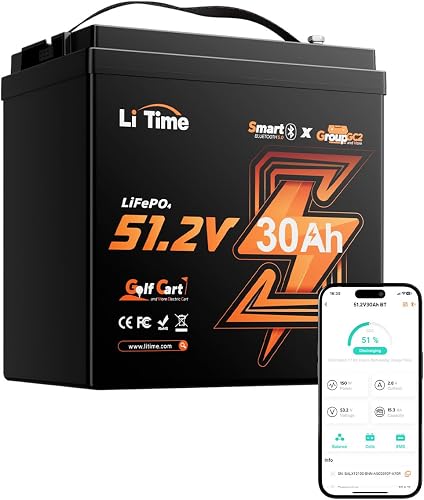 LiTime Batterie Lithium LiFePO4 48V 30Ah avec Bluetooth p…