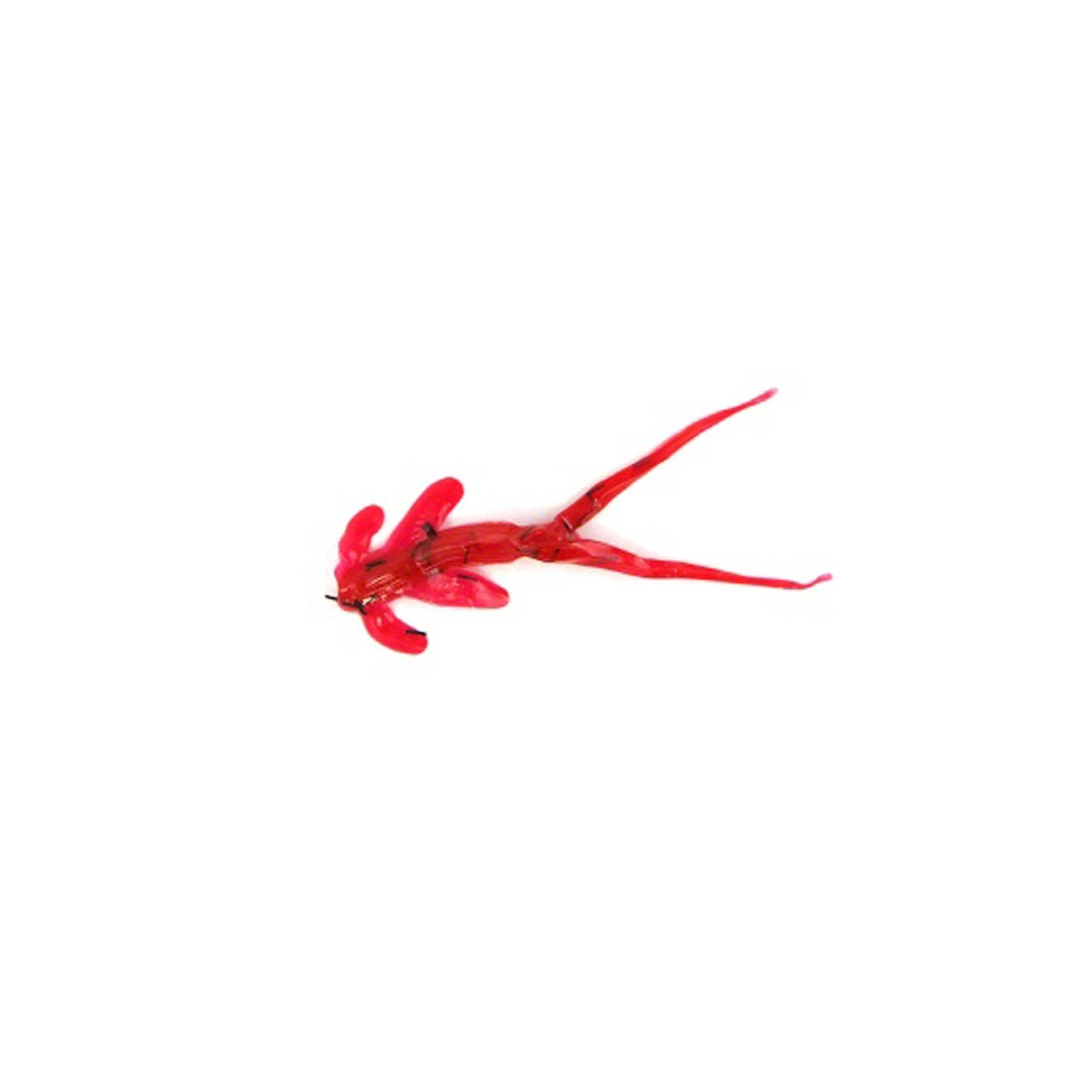 Clam 10207 4567-0967 Matdi Red