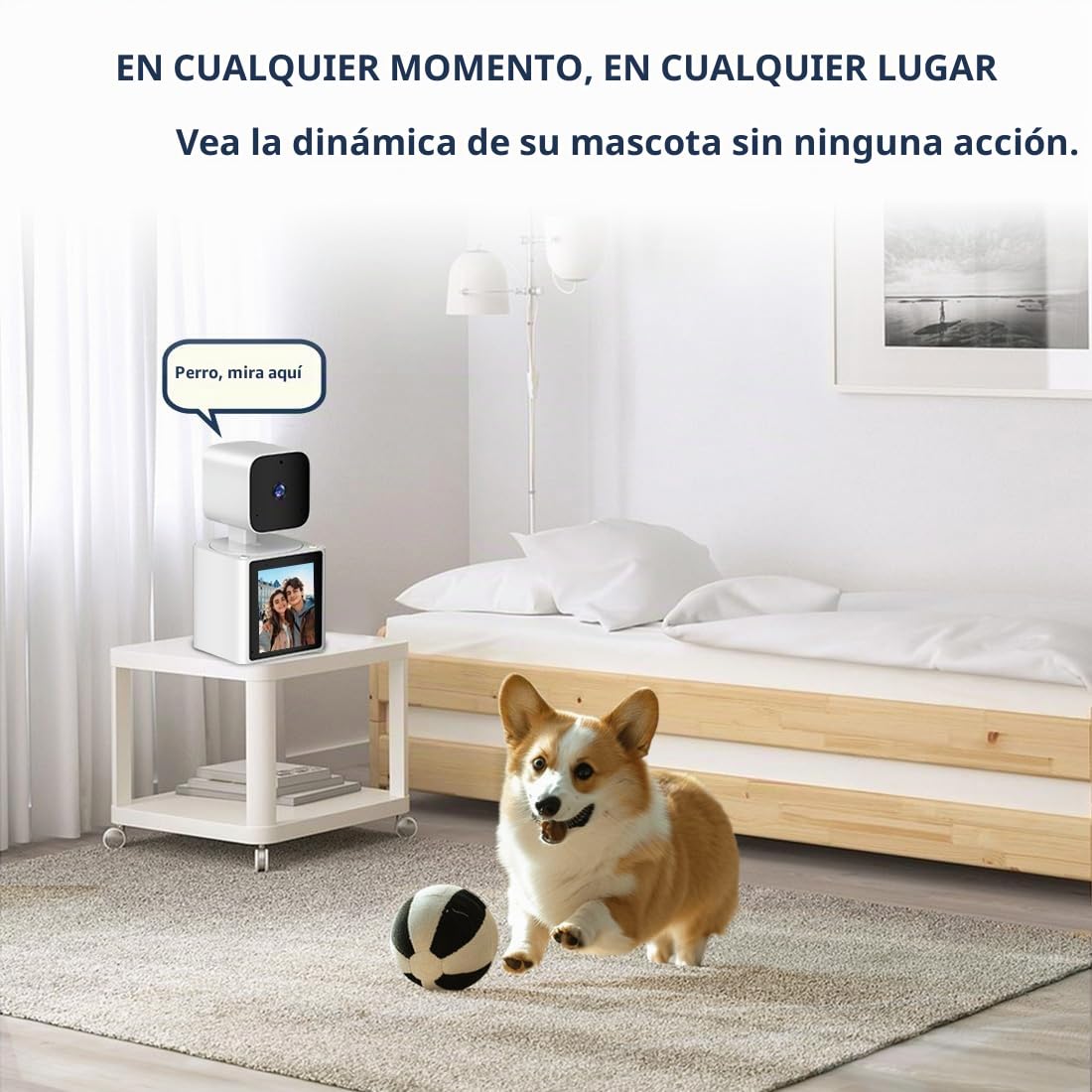 Cámara de Seguridad para el hogar para Interiores, cámara para Mascotas, cámara de Perro 1080P con Video bidireccional, Monitor para Ancianos/bebé/niñera/Mascota/Perro con aplicación, cámaras