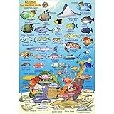 Frankos Maps, Cozumel Mini Fish ID-Card