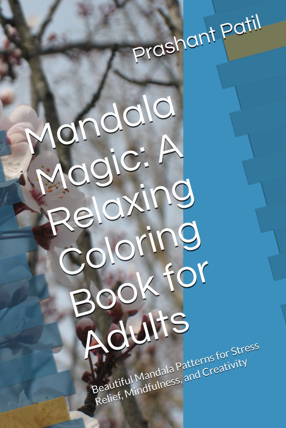 Livre de coloriage mandala pour adulte pour la relaxation et méditation