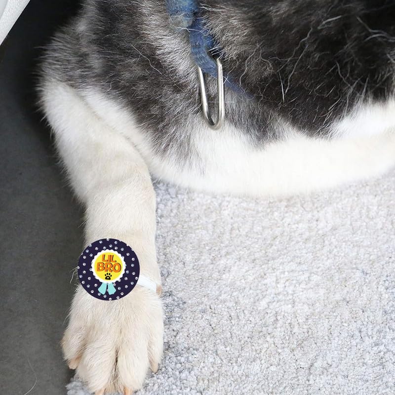 TheYayaCafe Dog Rakhi Rakshabandhan Gifts for Pets, Acrylic Paw Accessories with Elastic Band Lil Bro, Raksha Bandhan Rakhi for Dog Brother from Sister 3